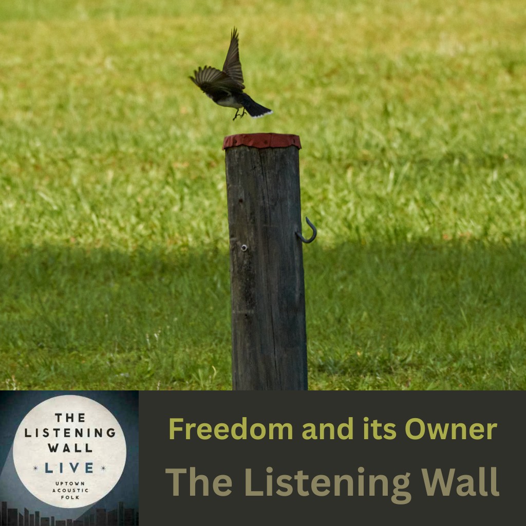 Freedom and Its Owner